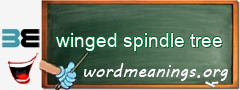 WordMeaning blackboard for winged spindle tree